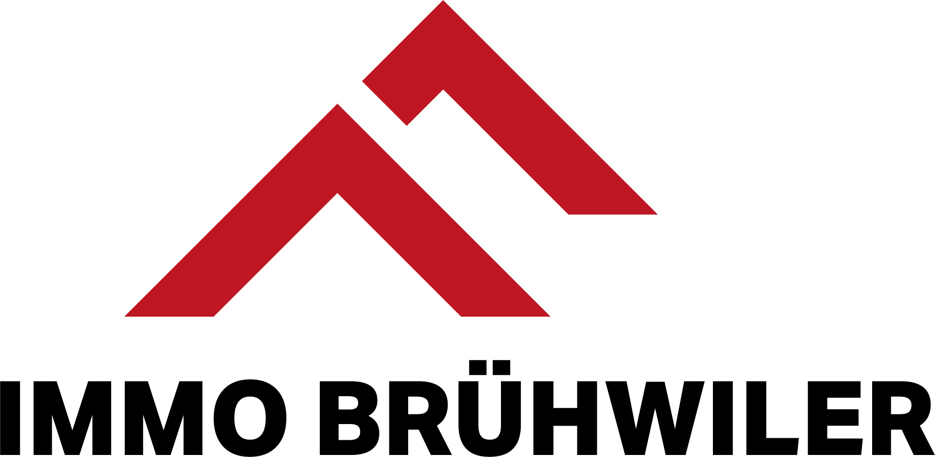 Immo Brühwiler – Co-Sponsor der Volleynights